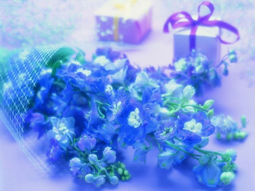 Be my Valentine?, blue, gift, purple, valentine, pink, day, box, flower, love, green HD wallpaper
