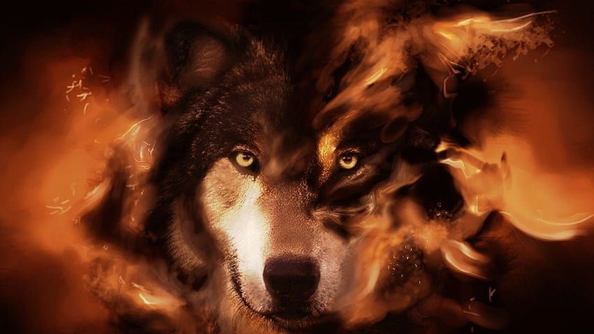 Wolf Verse Tiger, Epic Wolves HD wallpaper