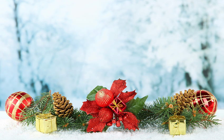 Merry Christmas!, blue, decoration, christmas, green, red, card, cone pine, fir HD wallpaper