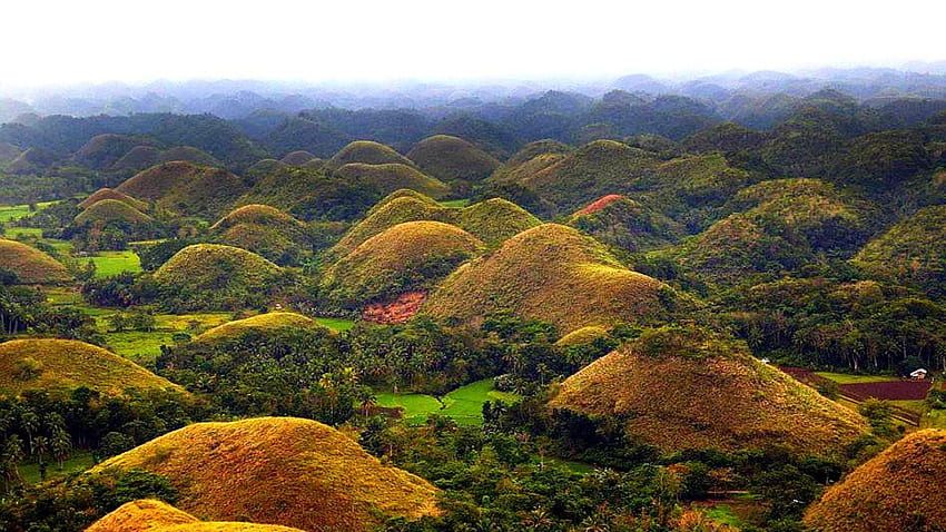 The Chocolate Hills - A Famous Tourist Attraction. Les HD wallpaper