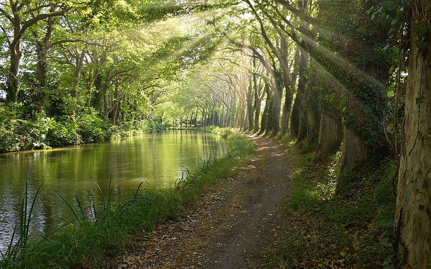 Path along the Canal, canal, path, France, trees, water HD wallpaper