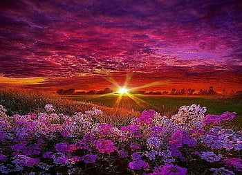 Spring Sunset Wallpapers  Wallpaper Cave
