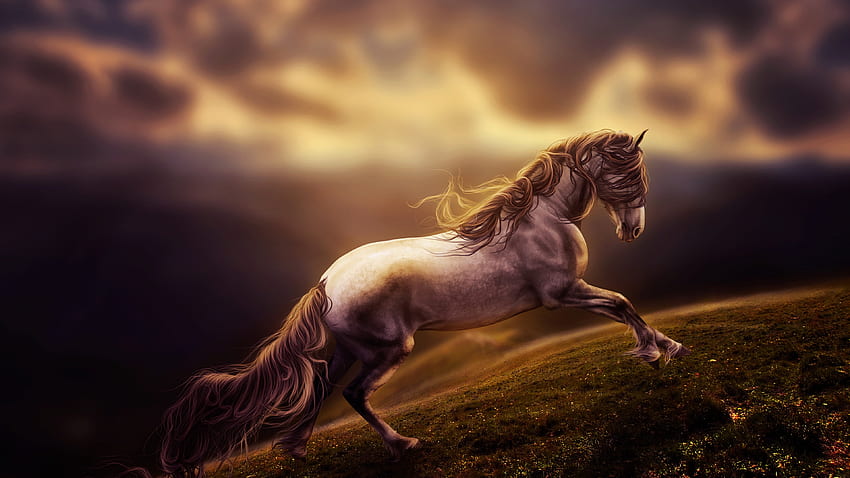 Horse, clouds, sky, gray, landscape, Art, Horse Landscape HD wallpaper