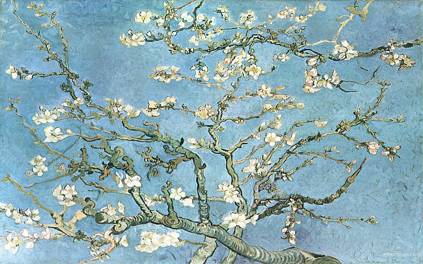 Sanat Çiçek Açan Badem Ağacı Dalları Vincent Van Gogh HD duvar kağıdı