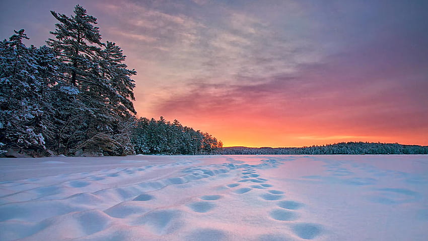 Sunrise on Keoka Lake, Maine, winter, frozen, snow, trees, clouds, colors, landscape, sky, usa HD wallpaper