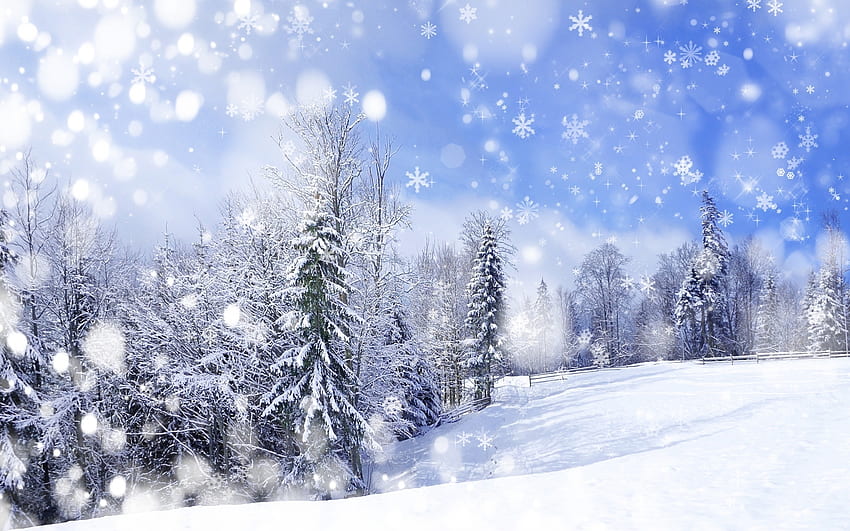 Pemandangan, Musim Dingin, Latar Belakang, Salju Wallpaper HD