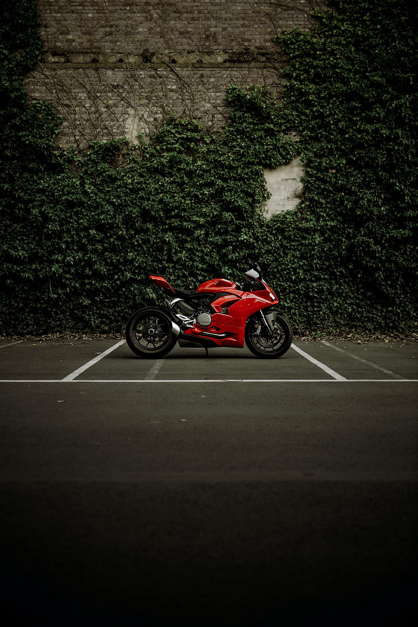 Ducati, 오토바이, 오토바이, 자전거, Ducati Panigale V2 HD 전화 배경 화면