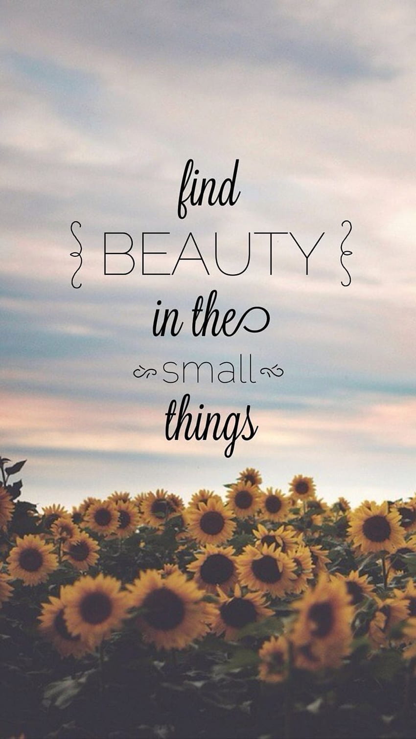 Find beauty in the small things:). quotes, Quotes, Cute Travel ...