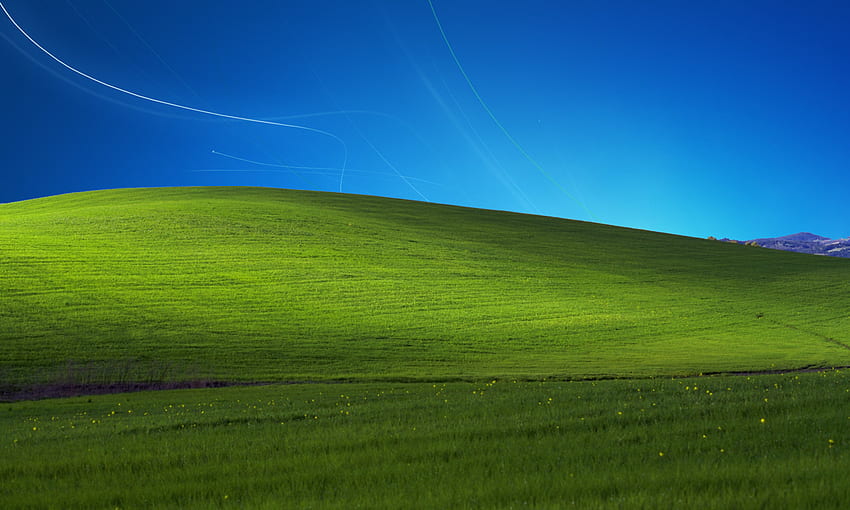 Windows XP Bliss, Windows XP Grass papel de parede HD