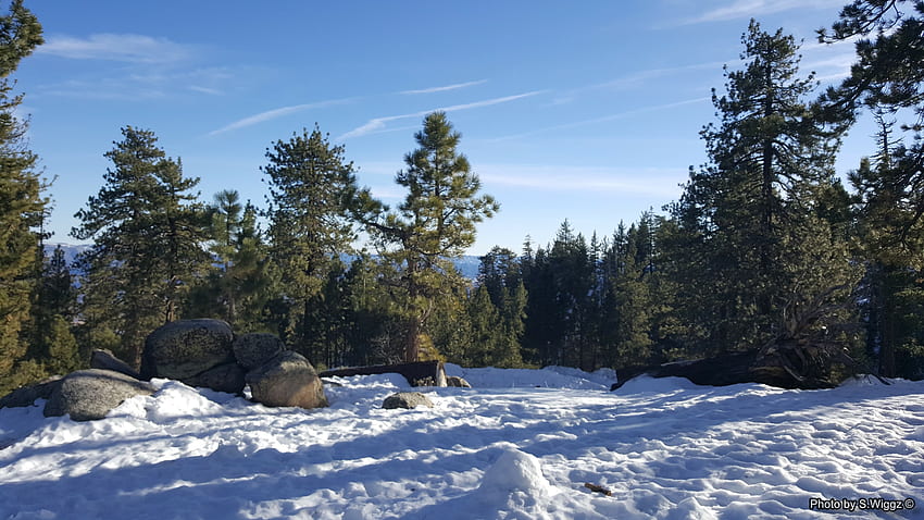 Mt. Pinos, Südkalifornien, Schnee, Bäume, Berge, Schatten, Wolken, Himmel, Kalifornien HD-Hintergrundbild