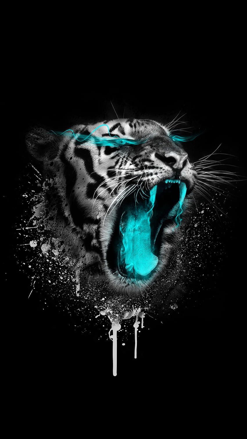 . Colorful. Quality. Android, Black Tiger HD phone wallpaper