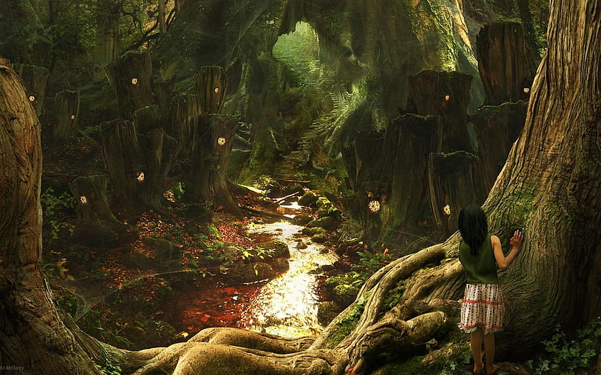 마법에 걸린 숲 배경, 환상의 숲 HD 월페이퍼