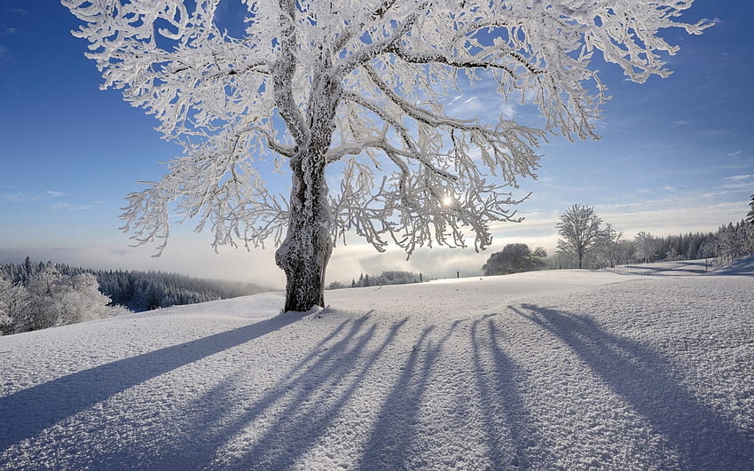 美しい景色、青、雪、景色、空、美しい、自然、山 高画質の壁紙