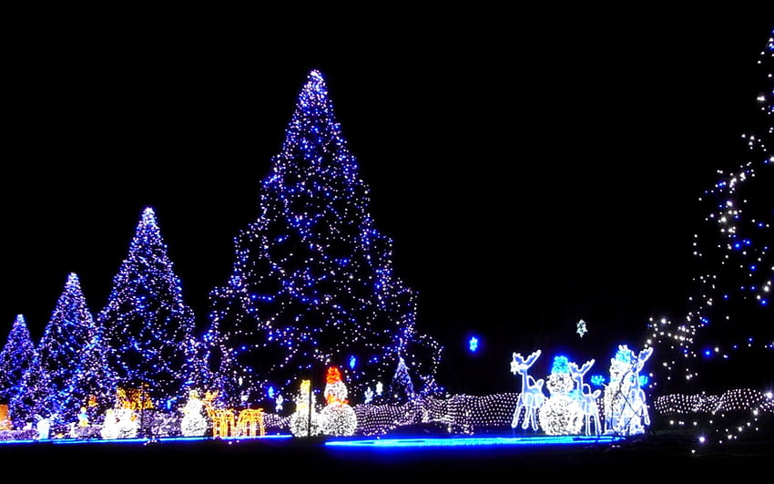 MAGIC WONDERLAND, holiday, toys, crystal, lights, christmas, trees, glitters HD wallpaper