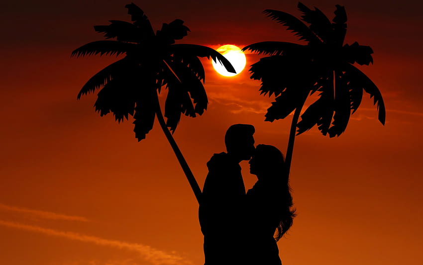 Night, Palms, Love, Couple, Pair, Silhouettes, Romance, Embrace HD wallpaper