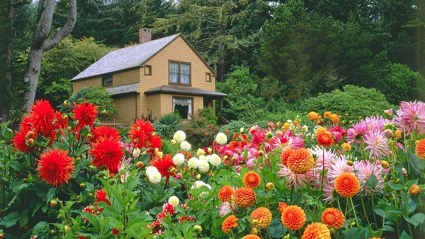 Ogród Ogród Kwiatowy w 2020. Ogród z daliami, Projekt ogrodu, Ogród nowoczesny, Ogród w domu Tapeta HD