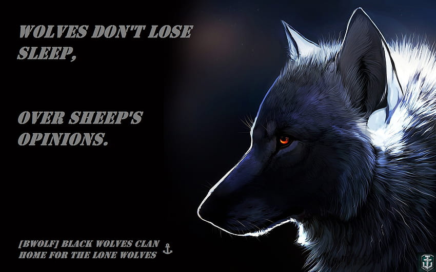 lone black wolf wallpaper