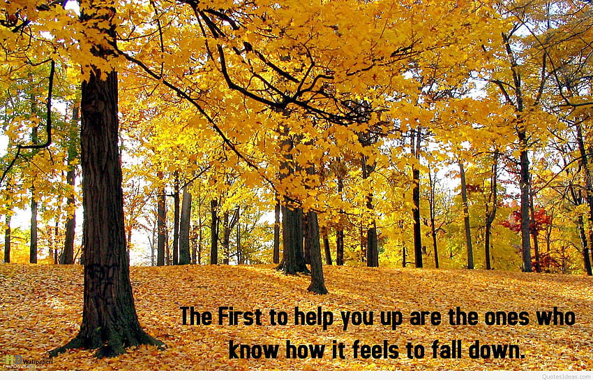 Best Autumn quotes, sayings, , Funny Autumn HD wallpaper
