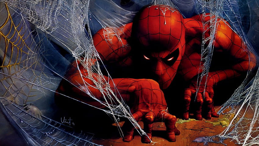 uomo ragno, uomo ragno, web, arte, v, Cartoon Spider Web Sfondo HD