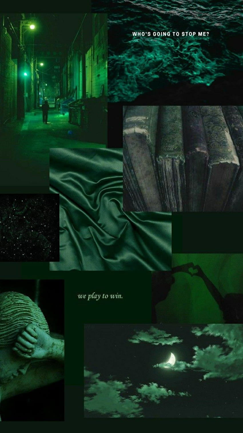 Pinterest  Dark green aesthetic Green aesthetic Dark forest aesthetic