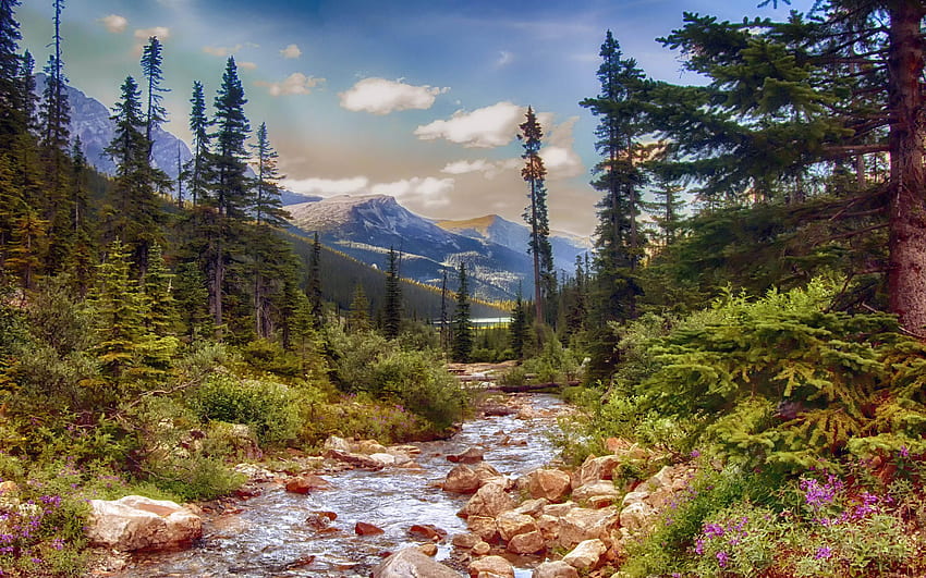 Alaska Landscape Nature Mountain Stream Pine Trees Spring Flowers HD wallpaper