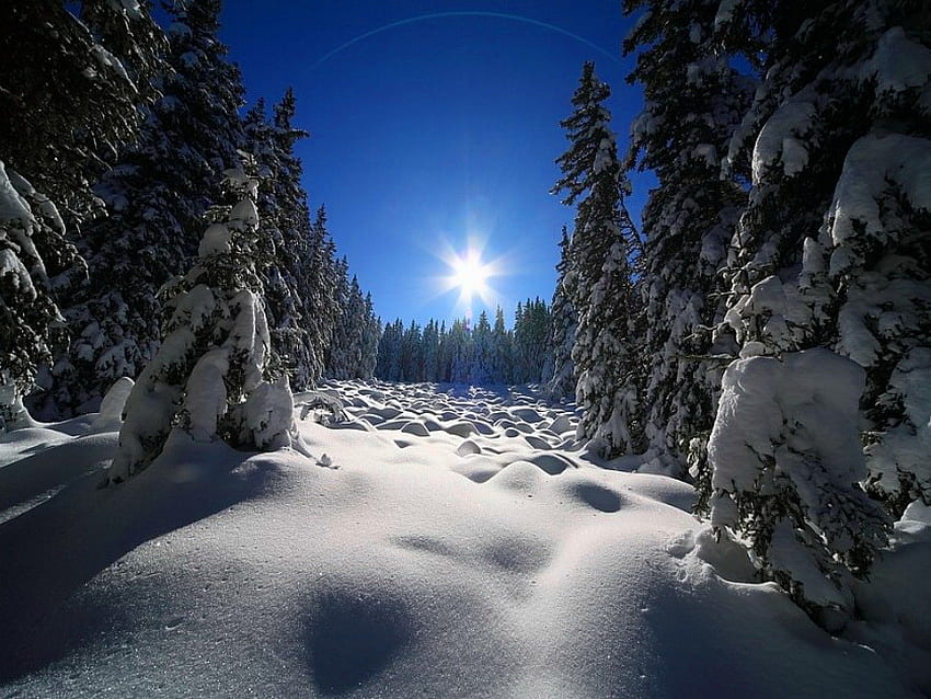 Matahari musim dingin, siang hari, terang, cerah, salju, arus Wallpaper HD