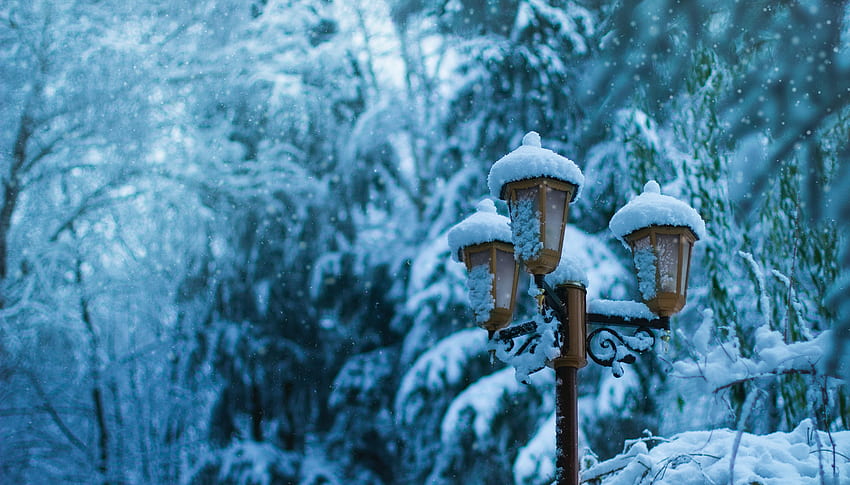 Winter, Snow, , , Lamp, Lantern, Pillar, Post HD wallpaper