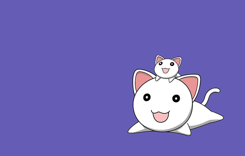 nyan cafe macchiato animal cat cat smile game cg nyan cafe macchiato  skyfish yukie | Cute anime cat, Anime cat, Kawaii anime