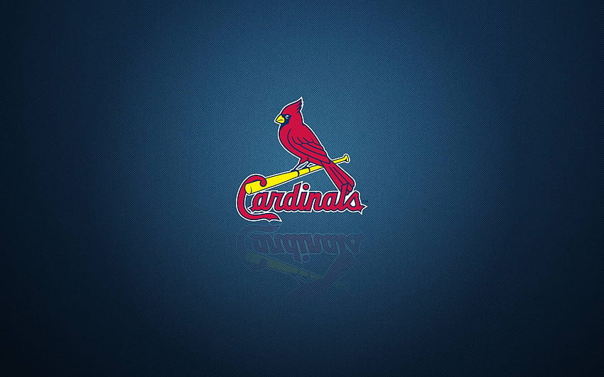 St Louis Cardinals Wallpaper 5185 960x800 px  St louis cardinals baseball, Cardinals  wallpaper, St louis baseball