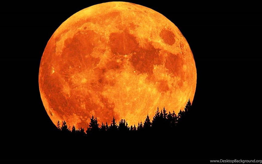 Blood Moon Orange Moon HD wallpaper