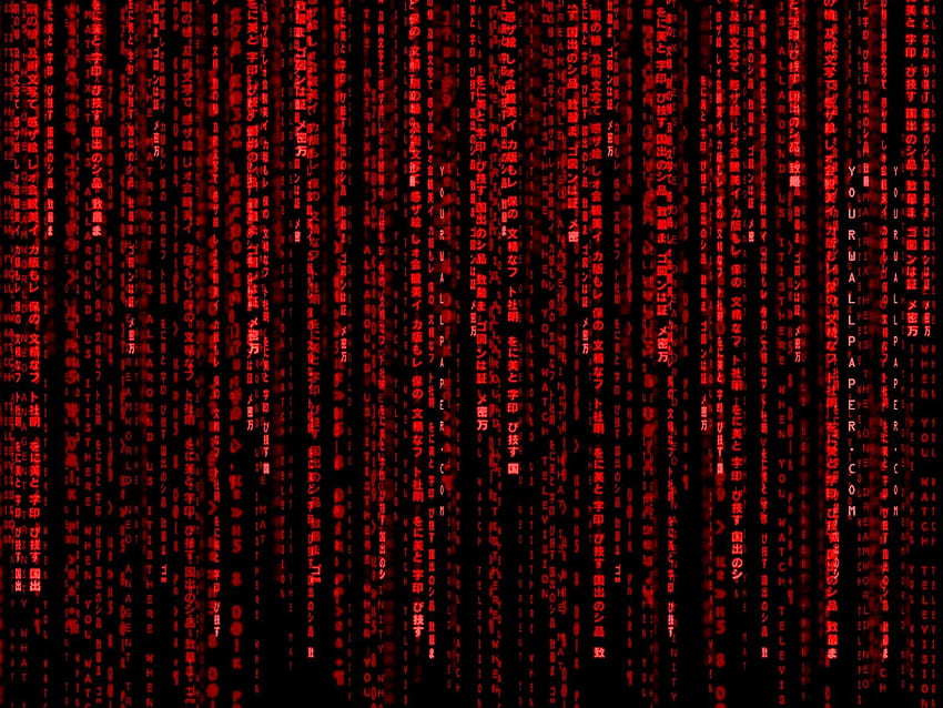 バイナリ コードの背景、赤のバイナリ 高画質の壁紙