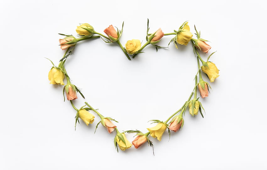 amor, flores, coração, rosas, amarelo, amor, brotos, coração, amarelo, romântico, rosas, broto, floral para, seção настроения - papel de parede HD