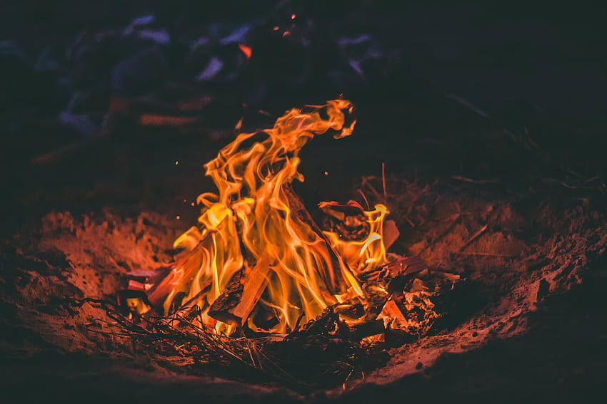 Feuer, Lagerfeuer, Flamme, Verschiedenes, Sonstiges, Brennholz HD-Hintergrundbild