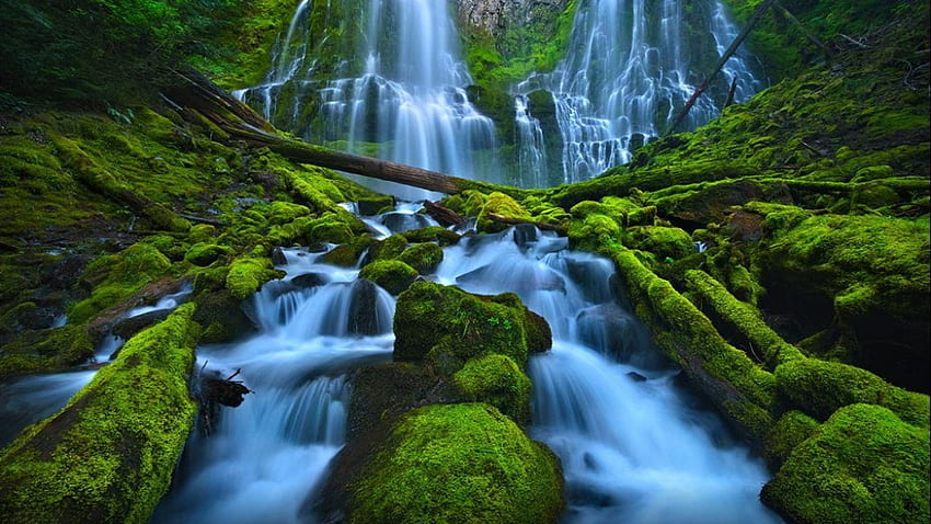 Beautiful Waterfall Rocks Green Moss Proxy Falls Eugene Cascades Willamette National Forest Oregon Usa For HD wallpaper