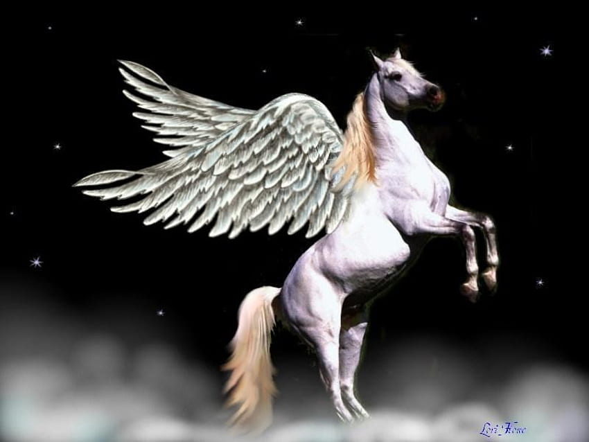 Pegasus, horse, white, fantasy HD wallpaper