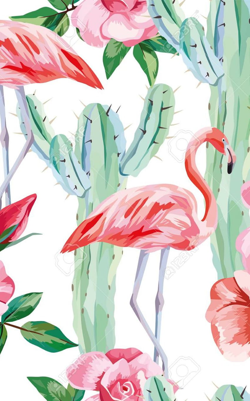 Vector Seamless Composition Pink Flamingo Cactus Roses Cool [] for your , Mobile & Tablet. Explore Cactus . Cactus , Cactus , Cactus Border HD phone wallpaper