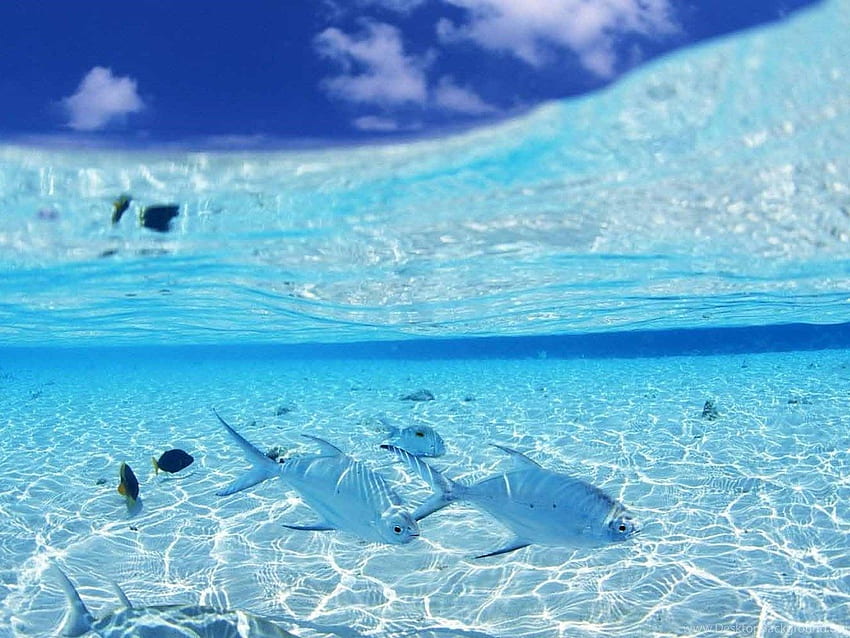 Clear Ocean , Crystal Clear Ocean HD wallpaper