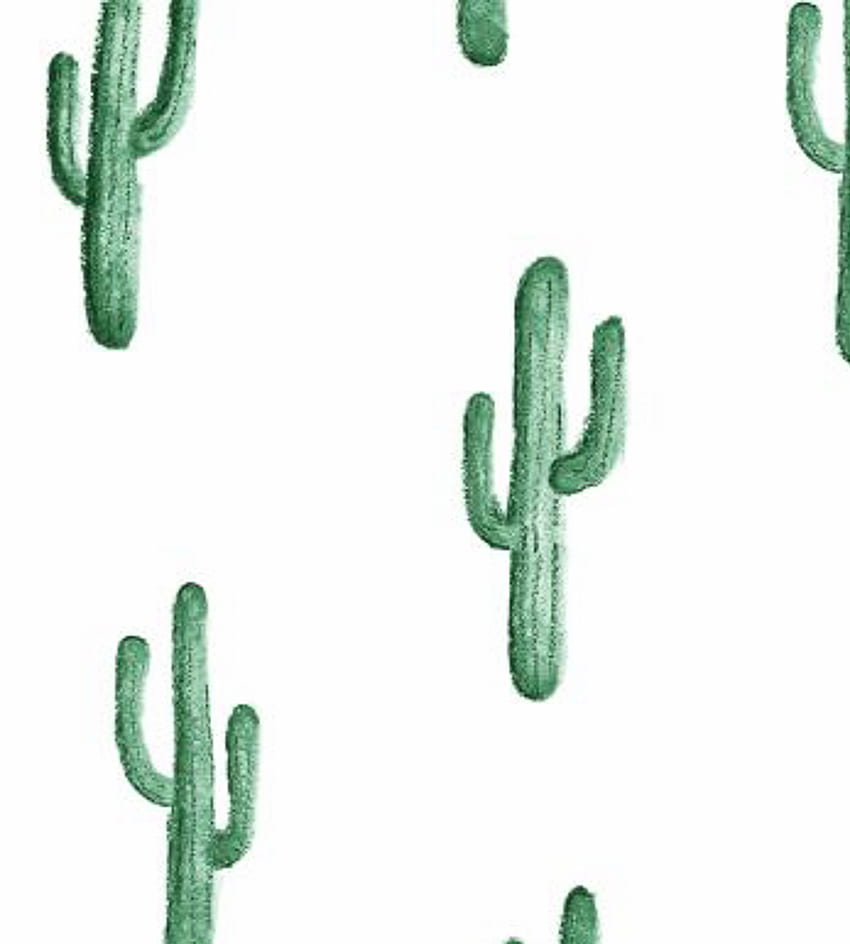 Cactus - Cactus - - Cactus Wallpapwr - -, Cool Cactus HD phone wallpaper