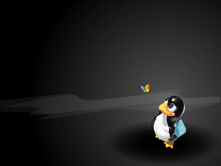 Linux and Background, Linux vs Windows HD wallpaper