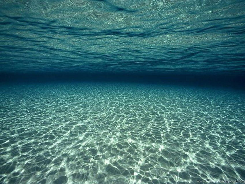 Bajo el agua, Verano bajo el agua fondo de pantalla