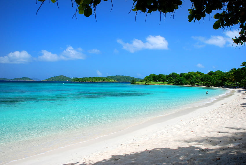 Alam, Pantai, Pasir, Telapak Tangan, Musim Panas, Tropis, Maladewa Wallpaper HD