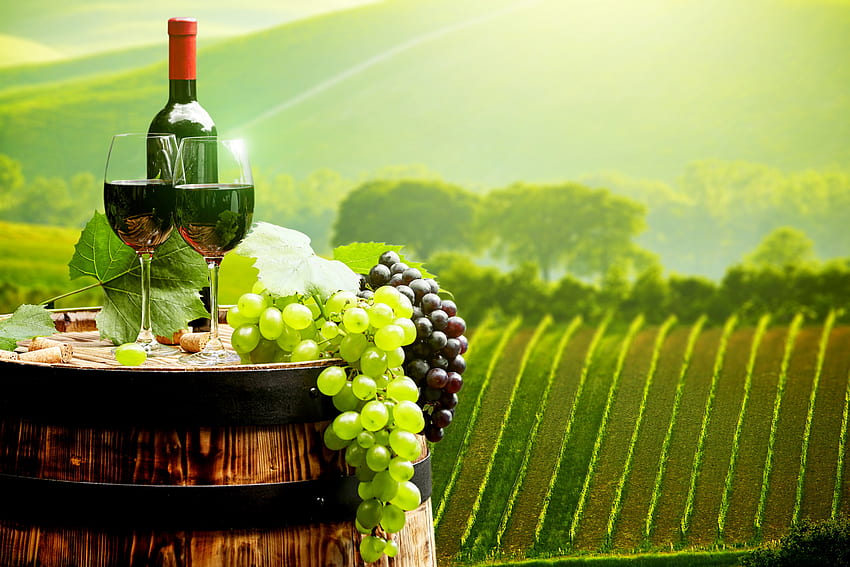 anggur, botol, gelas, tong, pemandangan, italia. Dingin Wallpaper HD