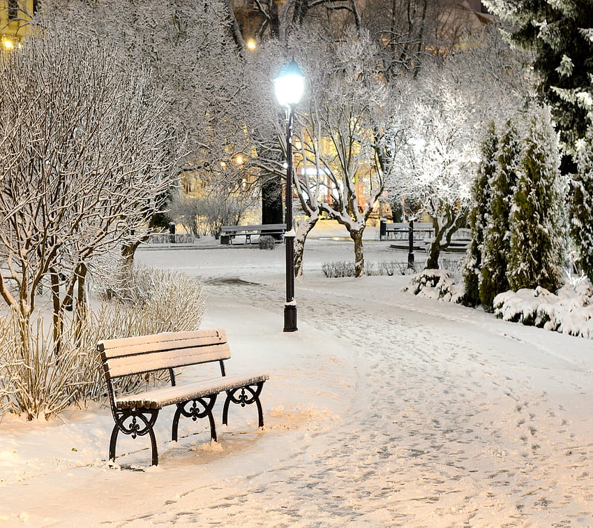 Winter Wonderland, neige, parc, hiver, banc, lumières, pays des merveilles Fond d'écran HD