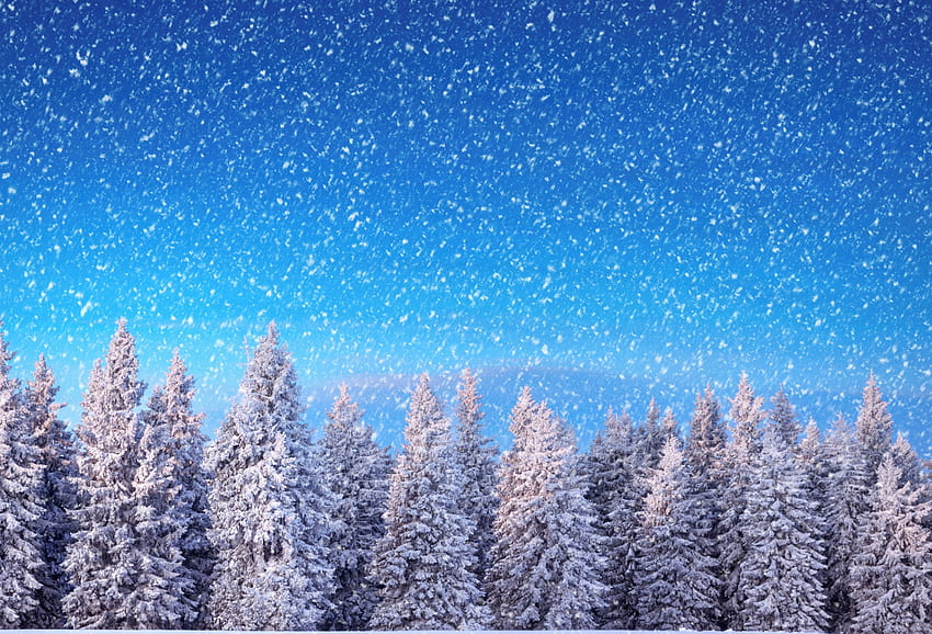 Hiver, flocons de neige, neige, nature, forêt, arbre Fond d'écran HD