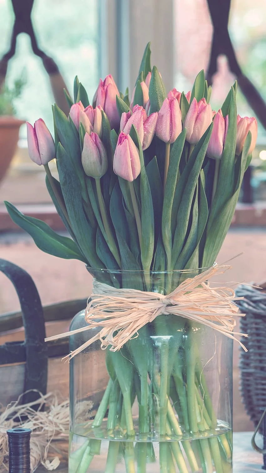 Tulips, Bouquet, Vase Iphone 8 7 HD phone wallpaper