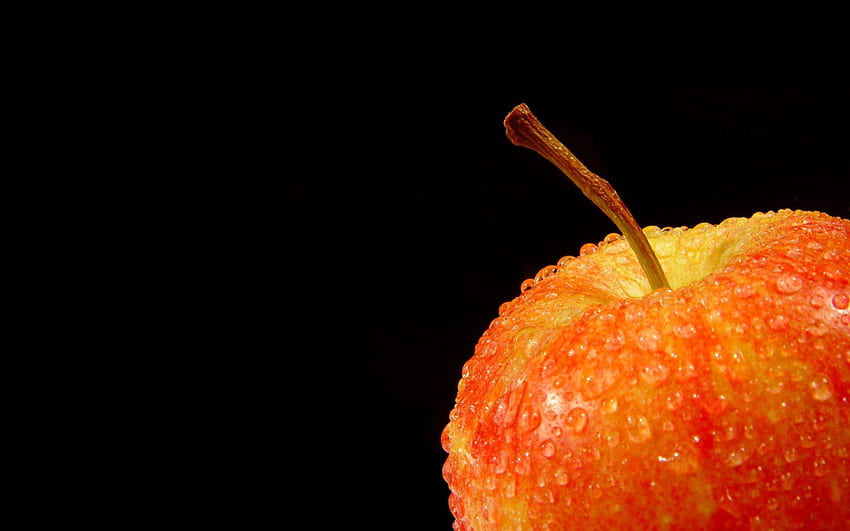 apple, fruit HD wallpaper