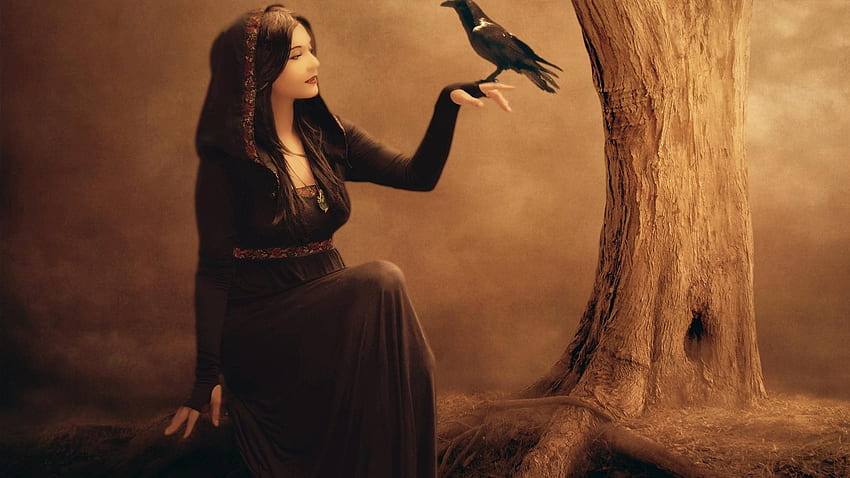 gypsy fortune teller raven tree, Background, Gypsy Art HD wallpaper