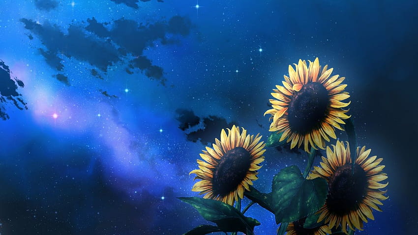 clouds flowers game cg natsuzora no perseus night nobody sky stars, Night Sunflower HD wallpaper