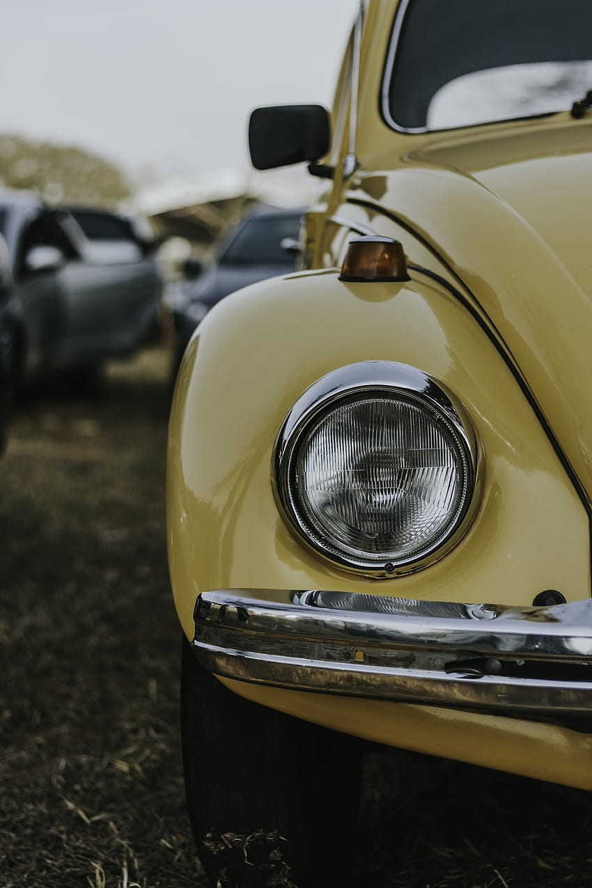 Classic Cars. 96 best classic car, car, vintage and vehicle on Unsplash, Pink Vintage Car HD phone wallpaper