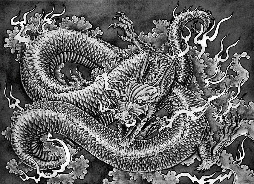 Entries in Japanese Dragon group, Japanese Dragon Art HD wallpaper | Pxfuel